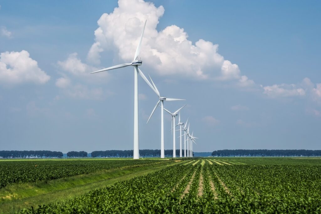 Sell Order Listing: Carbon Credits – Direct from Fossil Fuel Co. 2025